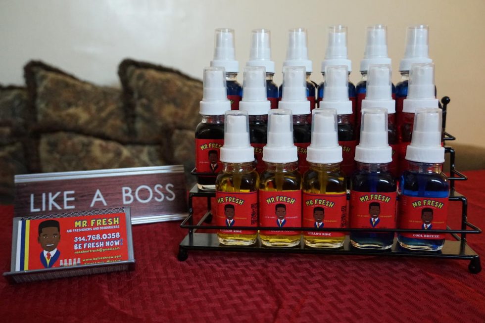 Air Fresheners and Deodorizers